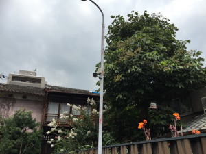 駐車場の防犯カメラ設置事例8